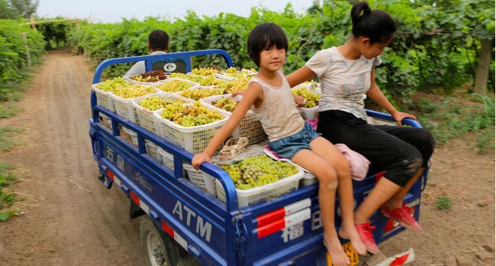 viaje de un dia en turpan