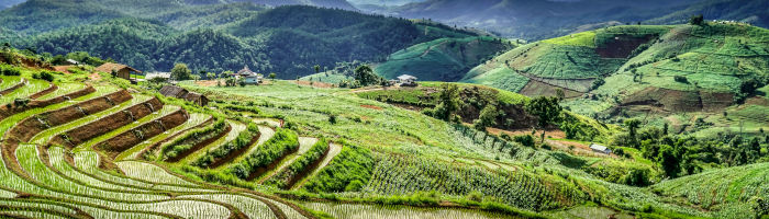 Tour lo mejor de Tailandia